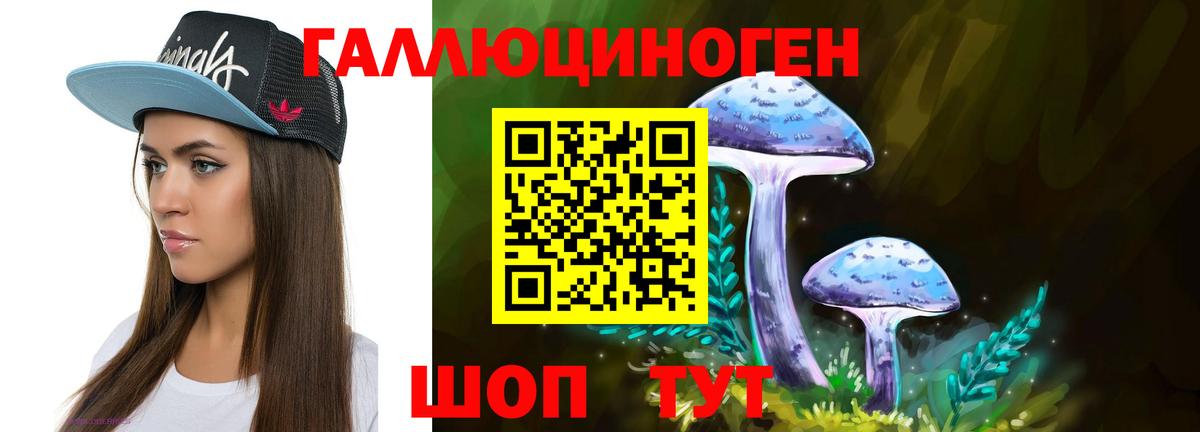 Южноуральск  Псилоцибиновые грибы Cubensis  Вход с VPN 