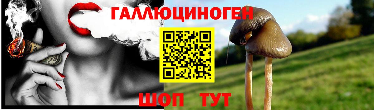 Псилоцибиновые грибы мухоморы Южноуральск